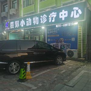 燕郊小动物诊疗中心